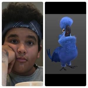 Meet your Posher, Tito